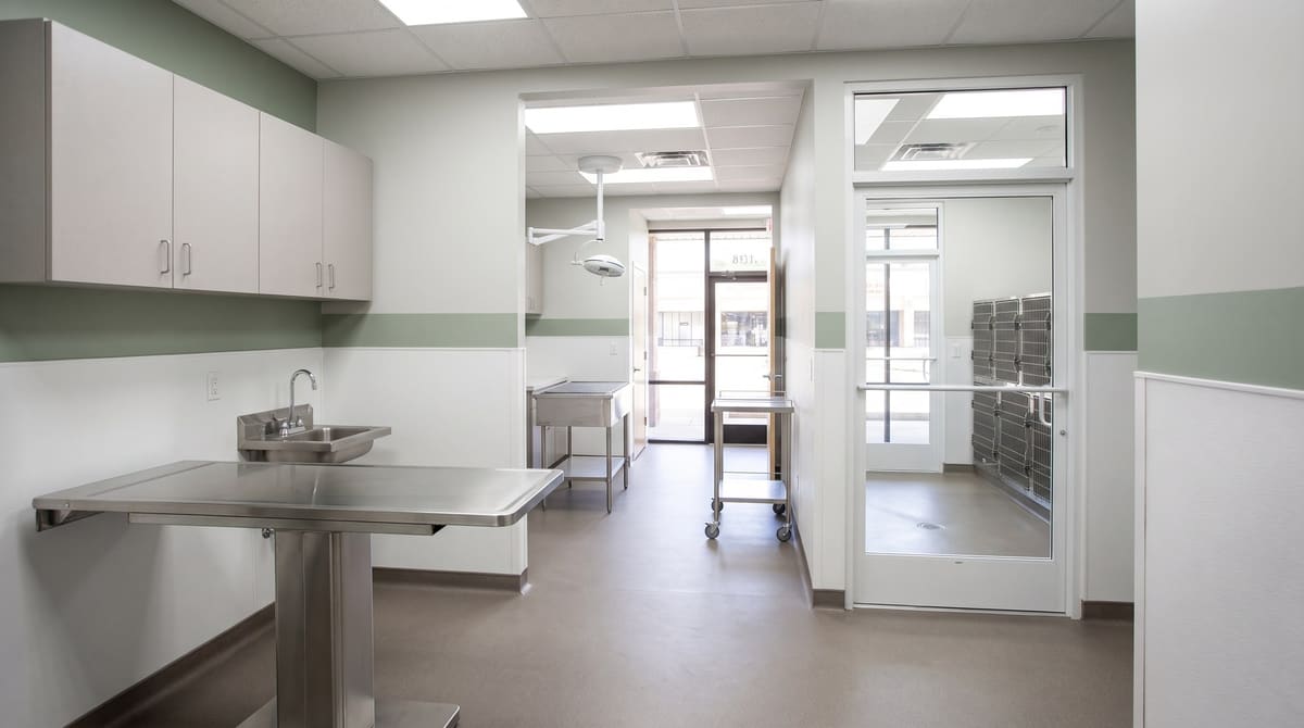 Illustrative veterinary clinic in a former retail suite with a stainless exam table, white washable wall panels, gray sheet vinyl floor, and a kennel room behind a half-glass door
