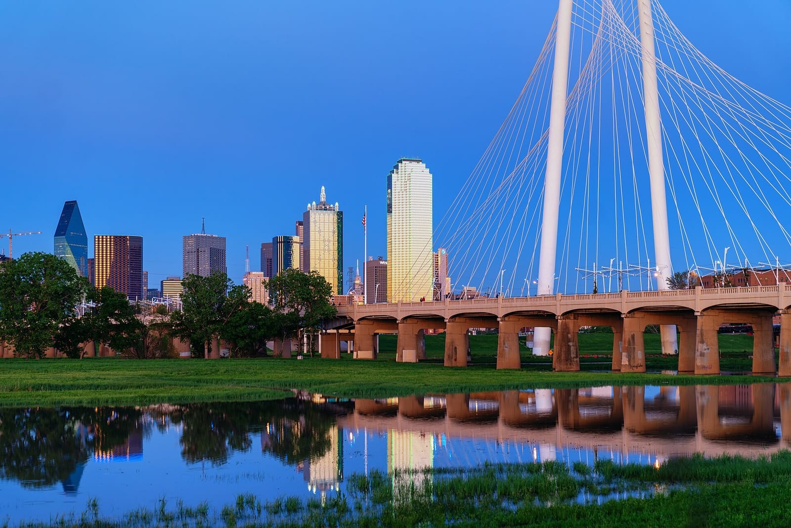 Downtown Dallas skyline across the Trinity River floodway, with the white cables of the Margaret Hunt Hill Bridge at right