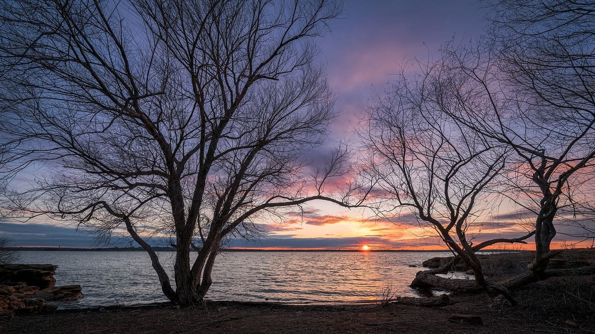 Bare trees silhouetted against a pink and orange sunset over Grapevine Lake at Murrell Park, with rocky shoreline in the foreground