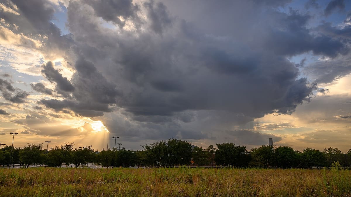 Tall native prairie grass on the Flower Mound at sunset under a dark storm cloud, with a line of trees and parking lot lights in the distance